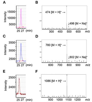 Intestinal permeability of agaro-oligosaccharides: Transport across Caco-2 cell monolayers and pharmacokinetics in rats